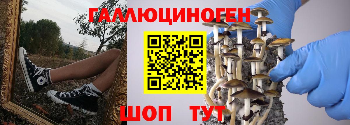 Орёл  продажа наркотиков  Галлюциногенные грибы прущие грибы  Вход с VPN  Псилоцибиновые грибы мухоморы 