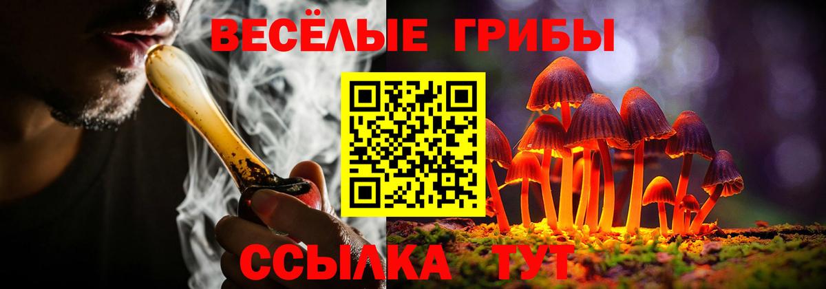 где найти наркотики  Галлюциногенные грибы Magic Shrooms  Вход с VPN  Псилоцибиновые грибы GOLDEN TEACHER  Орёл 